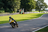 anglesey;brands-hatch;cadwell-park;croft;donington-park;enduro-digital-images;event-digital-images;eventdigitalimages;mallory;no-limits;oulton-park;peter-wileman-photography;racing-digital-images;silverstone;snetterton;trackday-digital-images;trackday-photos;vmcc-banbury-run;welsh-2-day-enduro